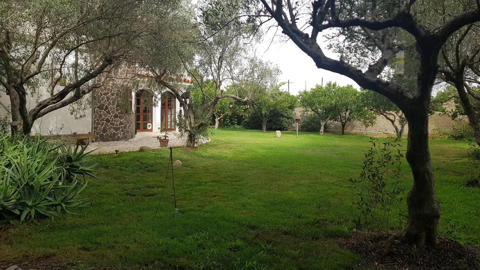 Ferienwohnung Il Giardino Di Frafa Quartu SantʼElena Exterior foto