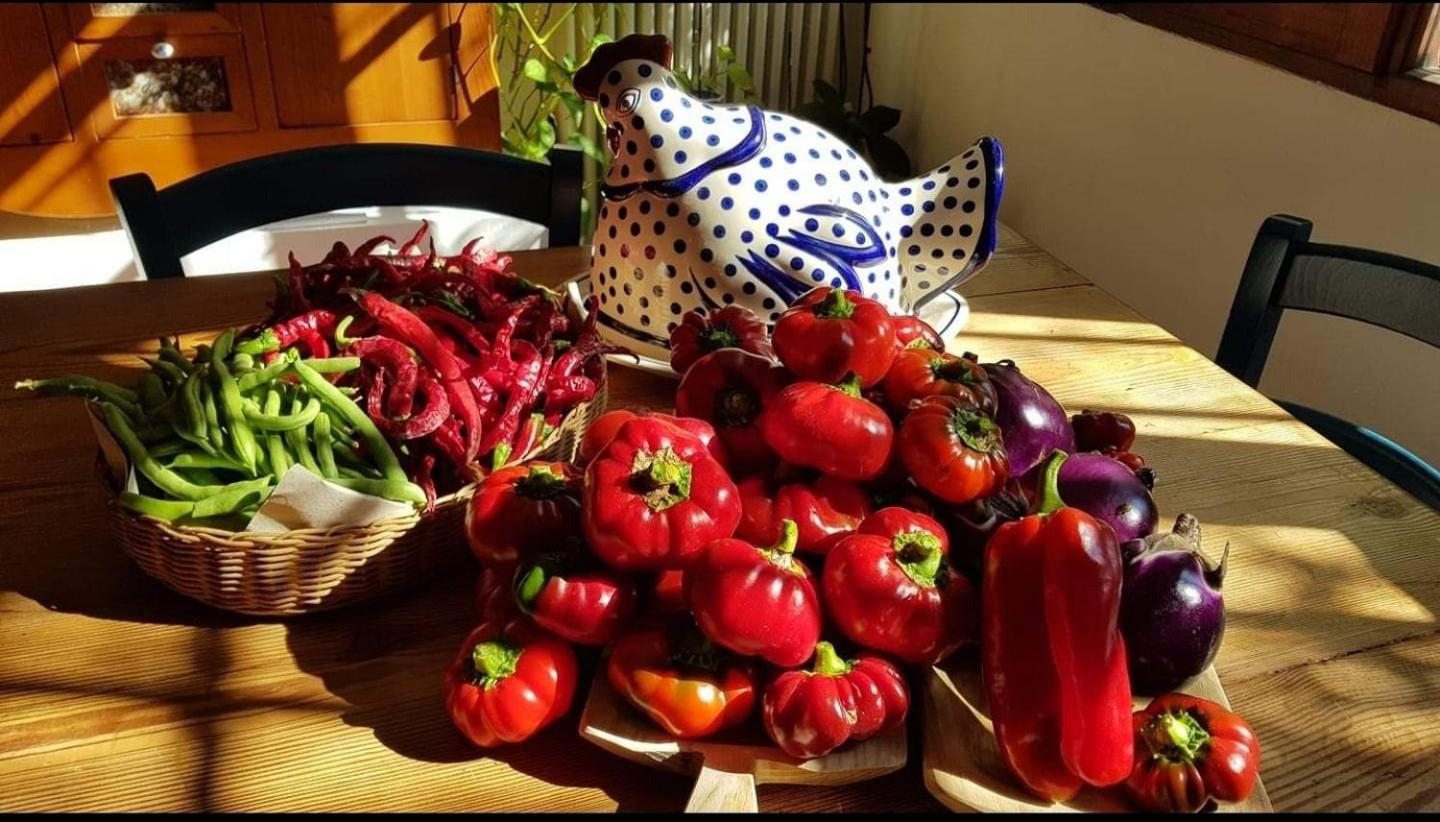 Ferienwohnung Il Giardino Di Frafa Quartu SantʼElena Exterior foto