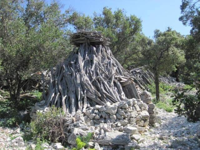 Ferienwohnung Il Giardino Di Frafa Quartu SantʼElena Exterior foto